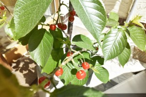 Blog20170519_01