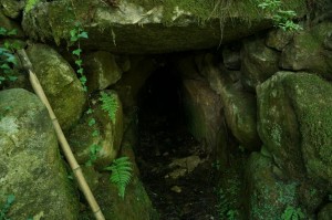 辻家庭園