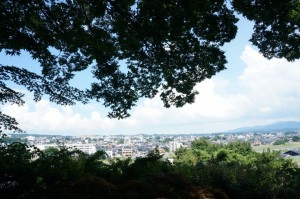 辻家庭園