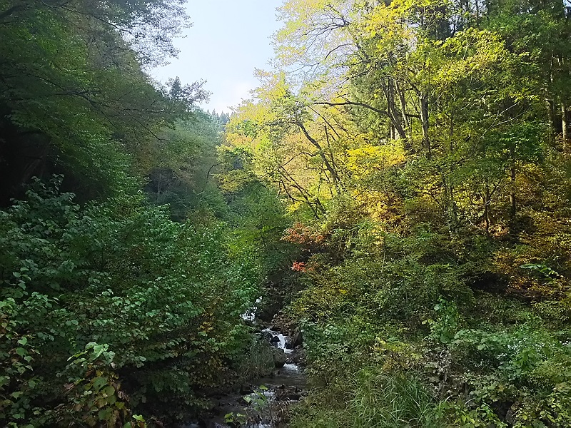 富山　森