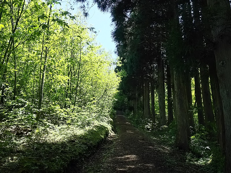 山道