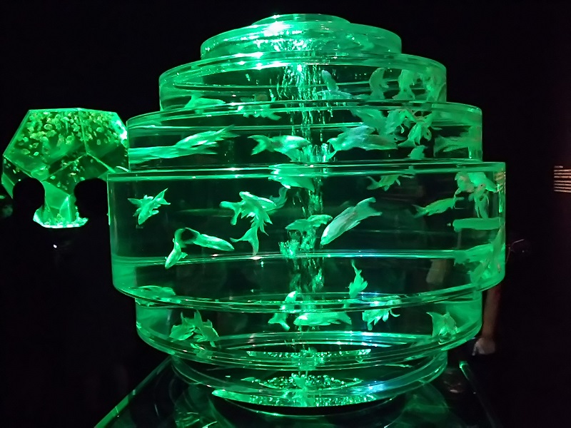 金魚　球