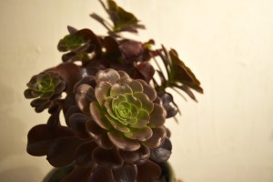 Blog20170414_06