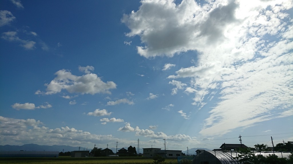 たとえ雨でも