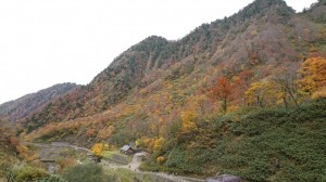 富山　紅葉