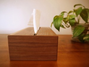 Tissue box3