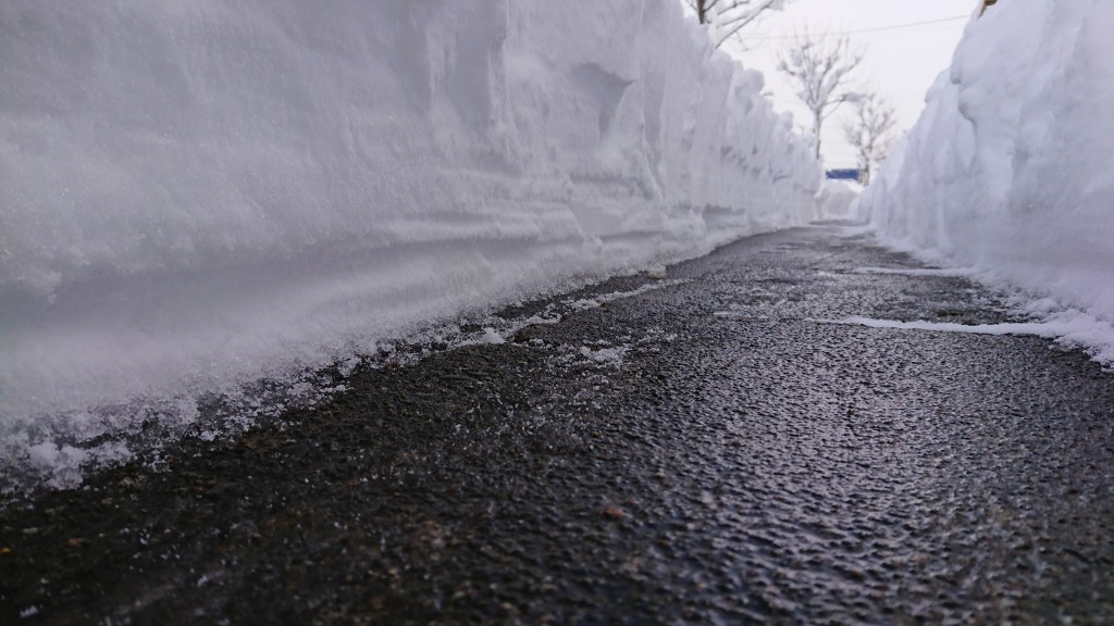 雪の大谷！？