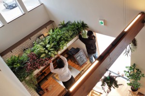 富山　家具　ボタニカル