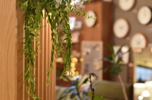 ミヤモト家具　富山　家具　グリーン
