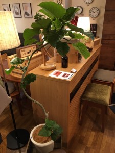 富山　家具　観葉植物　おしゃれ