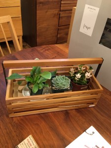 富山　家具　ミヤモト家具　おしゃれ　観葉植物