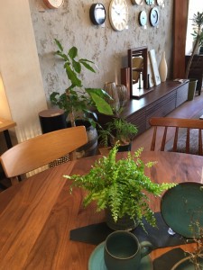 富山　家具　観葉植物　おしゃれ