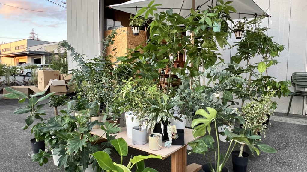 富山 家具 おしゃれ 無垢材