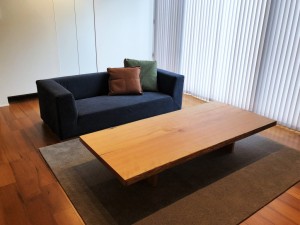 富山 家具 ソファ おしゃれ Nove