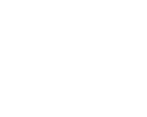 VISION