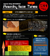 AF Times 2013 Vol.11